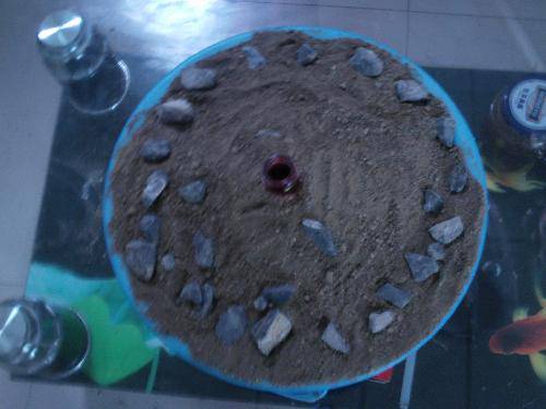 科学小实验(五)火山爆发作文