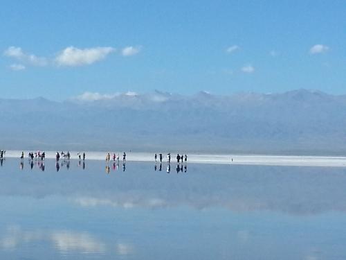 ����ຣ�Լ�������