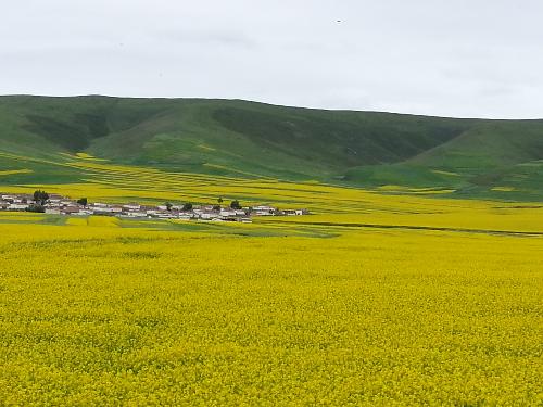 ����ຣ�Լ�������