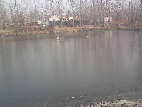 走在乡间的小路上....作文