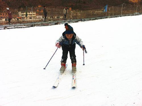 快乐的元旦假期作文