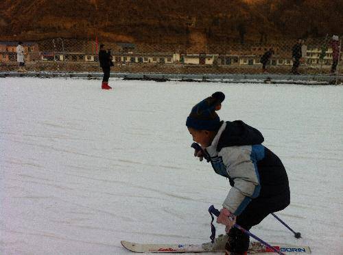 快乐的元旦假期作文