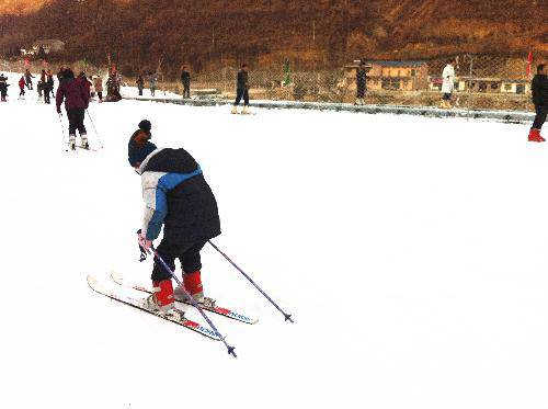 快乐的元旦假期作文