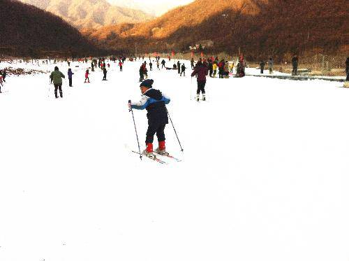 快乐的元旦假期作文