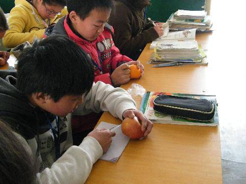 《手工制作大赛》活动总结作文