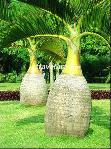 班级共读:《语文大课堂》作文