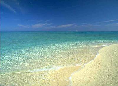 班级共读:《语文大课堂》作文