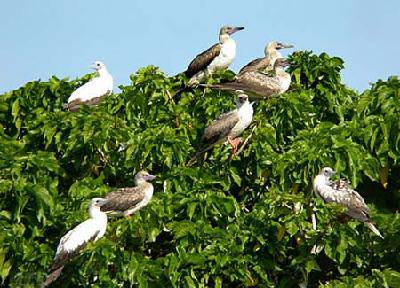 班级共读:《语文大课堂》作文