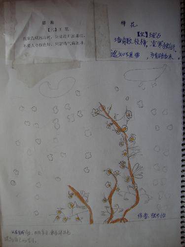 梅花香韵扑鼻来作文