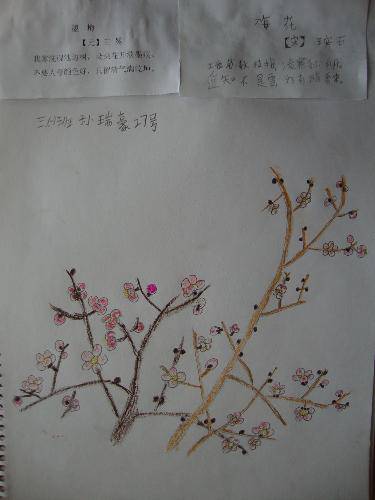 梅花香韵扑鼻来作文