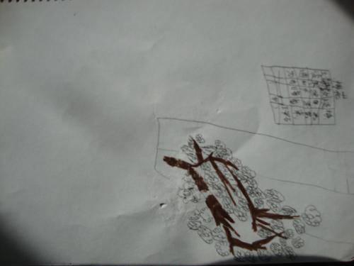 梅花香韵扑鼻来作文