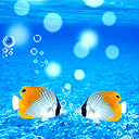 积累写作素材“四法”作文