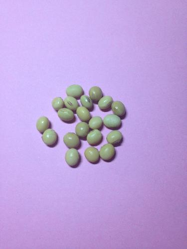 һƶǶcm³