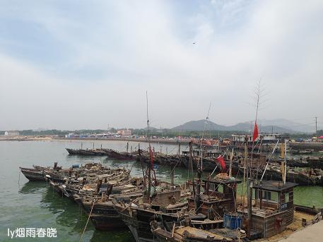 日照之旅(三)——桃花岛风情园●金沙滩浴场作文