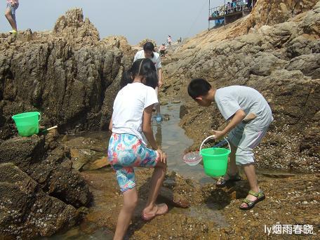 日照之旅(三)——桃花岛风情园●金沙滩浴场作文