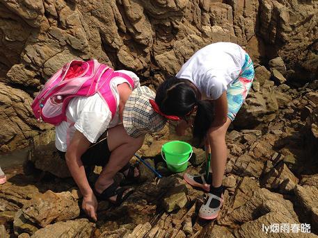 日照之旅(三)——桃花岛风情园●金沙滩浴场作文