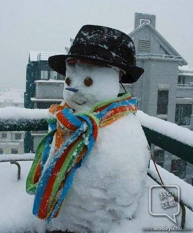 “白化的植物(⊙_⊙)?”——班级共读《雪天》的收获作文