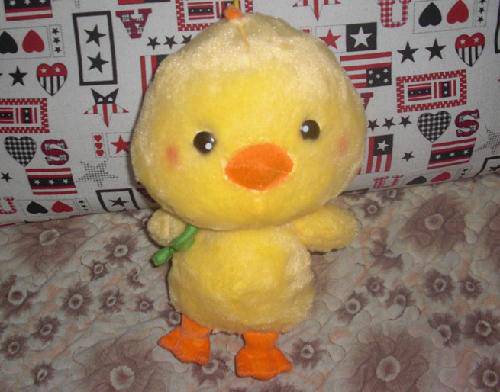 ʥ