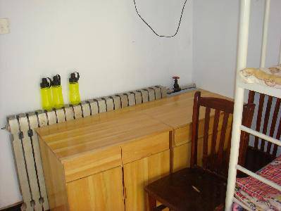 08社会福利院之行作文