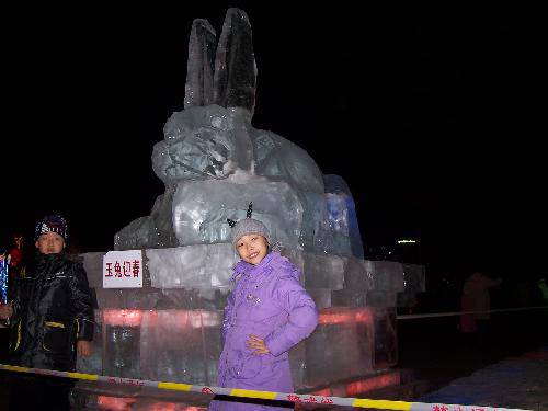 过年这些事之三 — 看冰灯作文