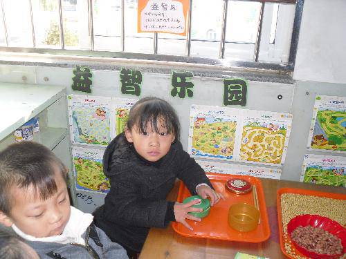 快乐的区域活动作文