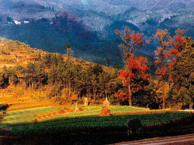 家教分享 生命的成长作文