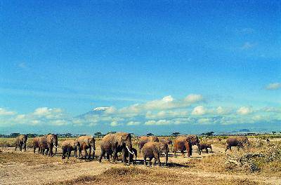神秘的象冢作文