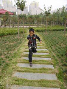 我的百草园作文