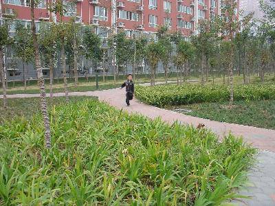 我的百草园作文