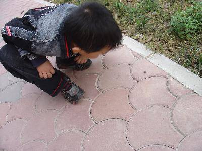 我的百草园作文