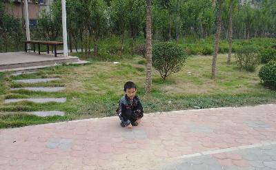 我的百草园作文