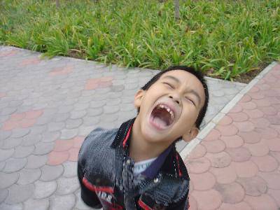 我的百草园作文