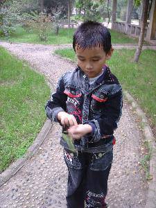 我的百草园作文