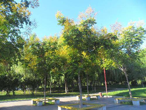 万类霜天竞自由!作文