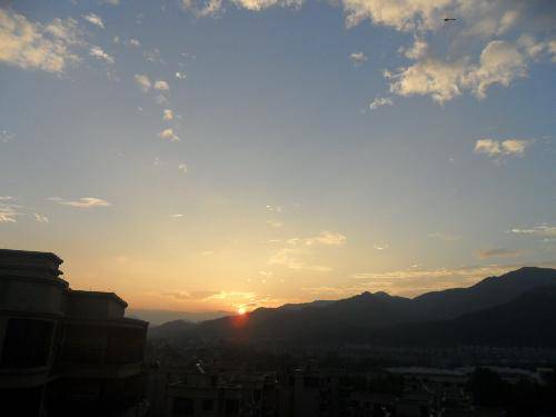 万类霜天竞自由!作文