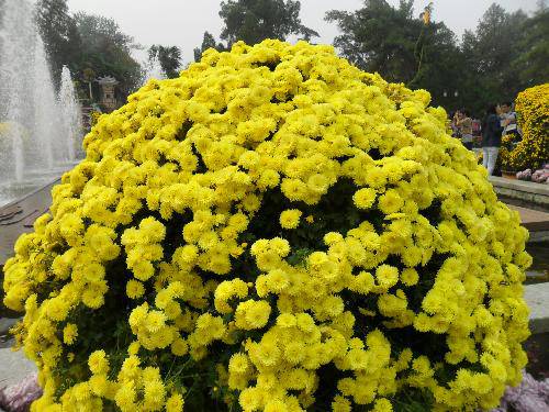 万类霜天竞自由!作文