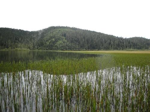 ֮