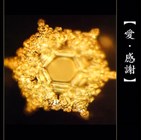 与子共读《水知道答案》作文