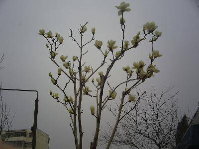 ֮루Ƭ