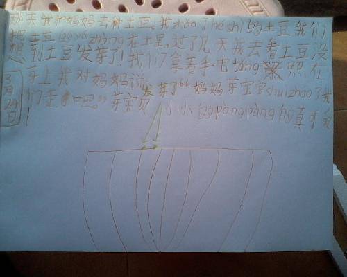 可爱的芽宝宝——观察日记之种土豆(一)作文