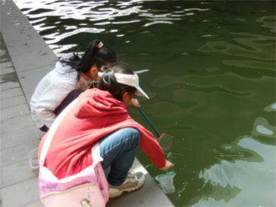 四月 让我们拥抱大自然作文