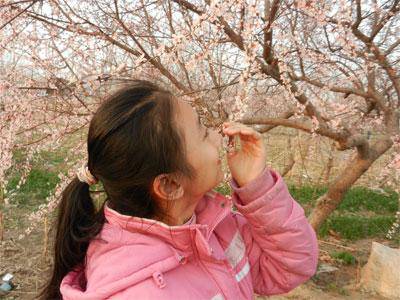 四月 让我们拥抱大自然作文