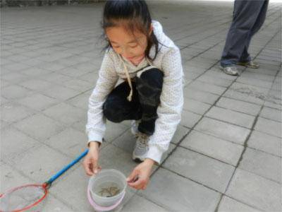 四月 让我们拥抱大自然作文