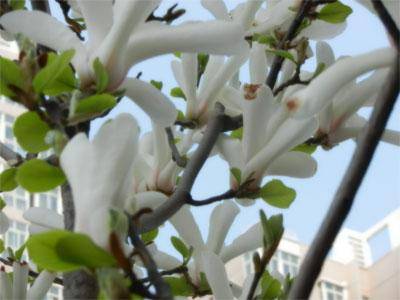 四月 让我们拥抱大自然作文