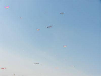 四月 让我们拥抱大自然作文