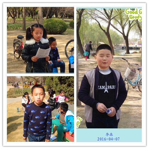 读书活动二十七期作文