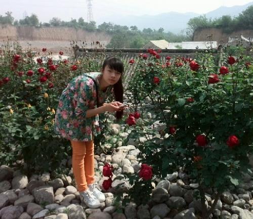 Happy十三岁了!作文