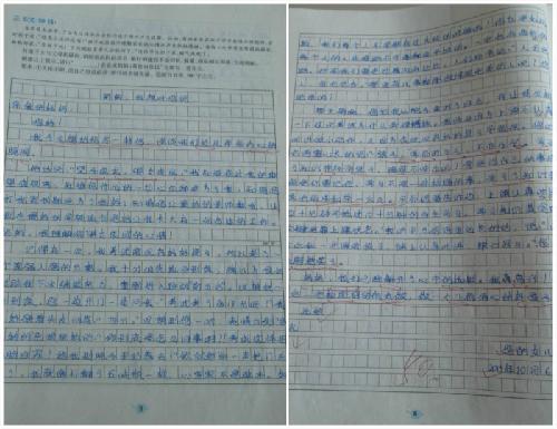 Happy十三岁了!作文