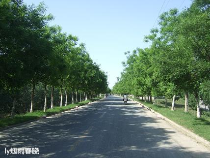 行走乡野 野趣盎然作文