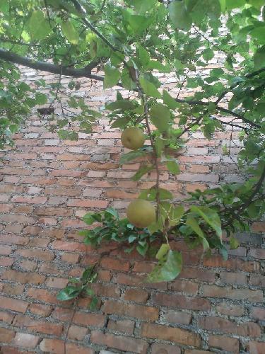 暑假“烧烤”节奏—到水里降降温作文